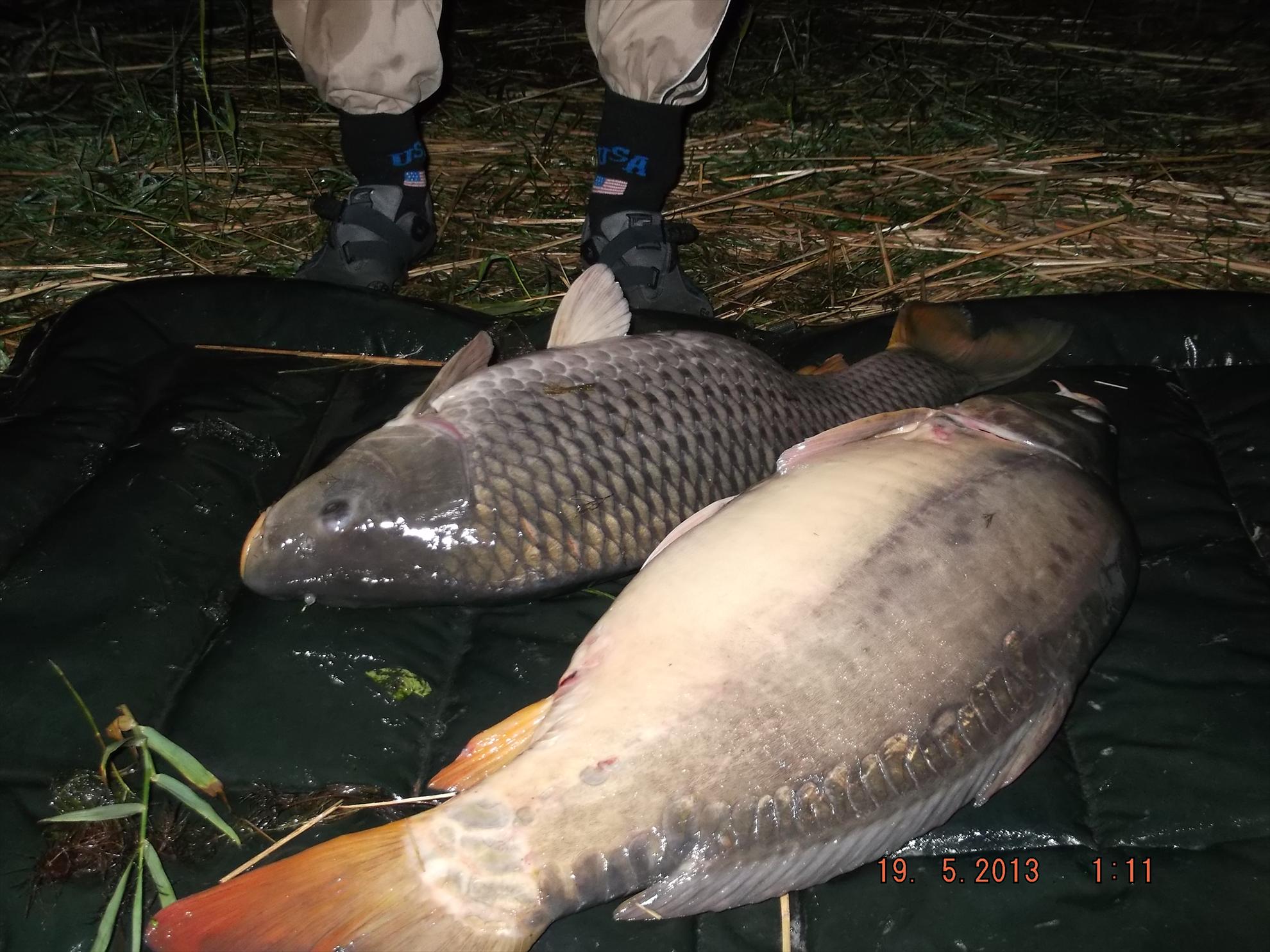 noaptea partea a ll - dscf0609.JPG